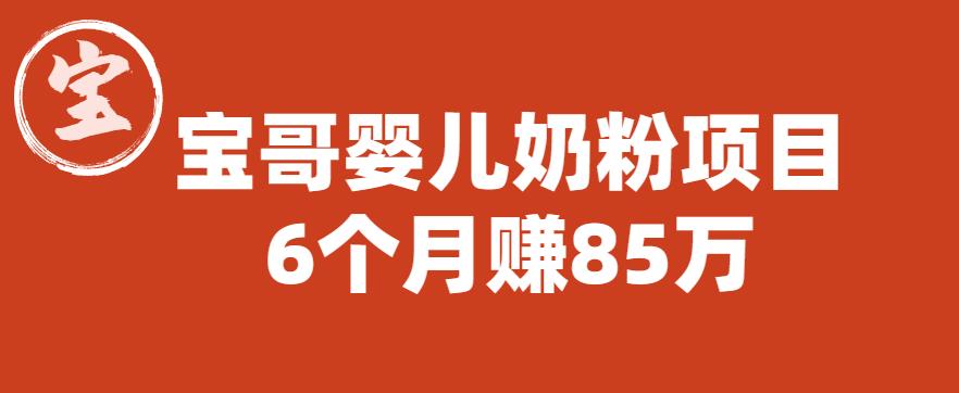 宝哥婴儿奶粉项目，6个月赚85w【图文非视频】【揭秘】-千羽资源库
