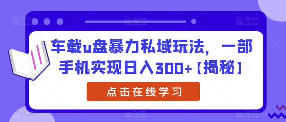 车载u盘暴力私域玩法，一部手机实现日入300+【揭秘】-千羽资源库