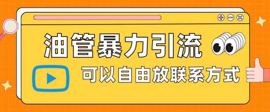 油管暴力引流，可以自由放联系方式【揭秘】-千羽资源库