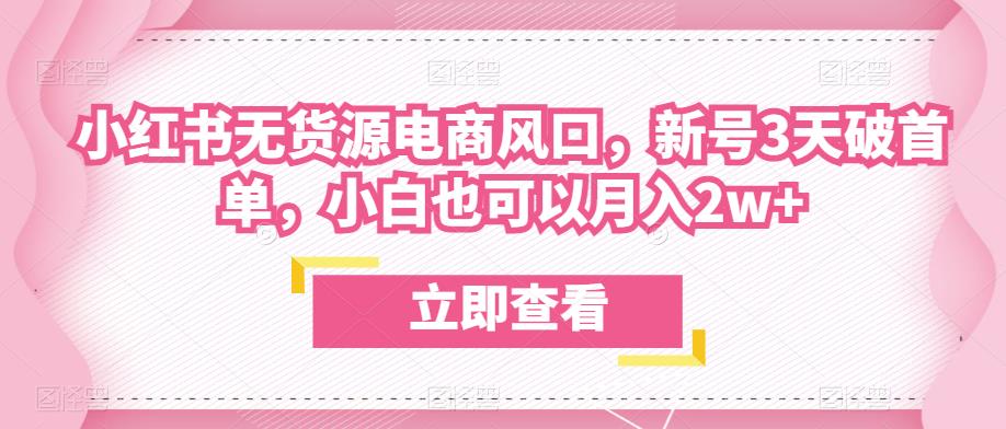 众狼电商余文小红书无货源电商风口，新号3天破首单，小白也可以月入2w+-千羽资源库