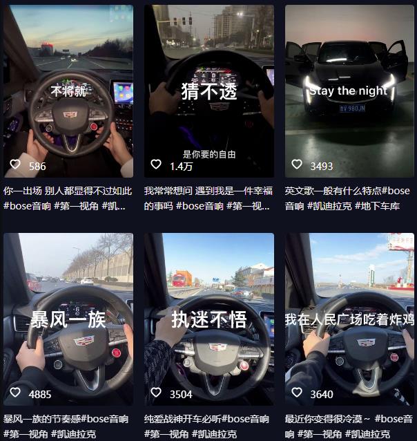 抖音开车视频项目，0基础操作，每天五分钟，月入1W+【揭秘】-千羽资源库