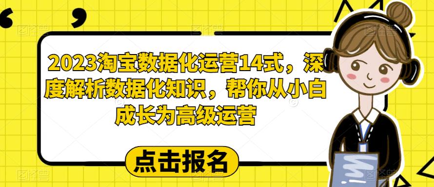 2023淘宝数据化运营14式，深度解析数据化知识，帮你从小白成长为高级运营-千羽资源库