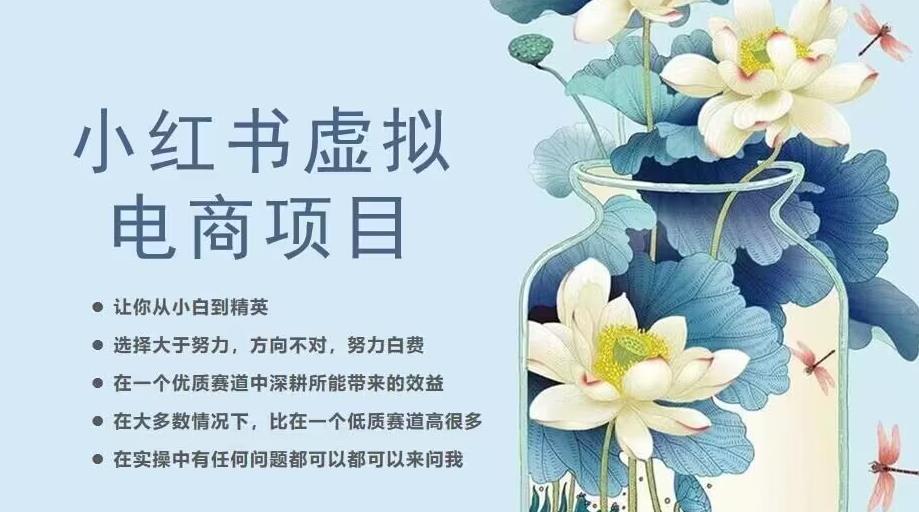 小红书虚拟电商从0到1，让你从小白到精英（20节实操课程）-千羽资源库