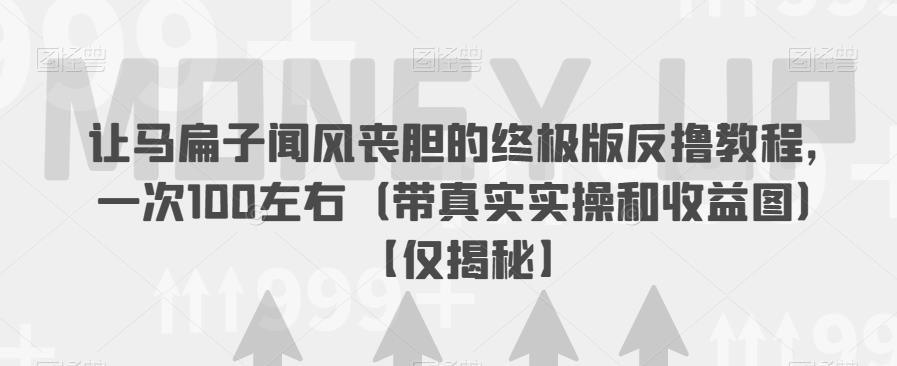 让马扁子闻风丧胆的终极版反撸教程，一次100左右（带真实实操和收益图）【仅揭秘】-千羽资源库