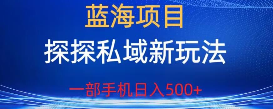 蓝海项目，探探私域新玩法，一部手机日入500+很轻松【揭秘】-千羽资源库