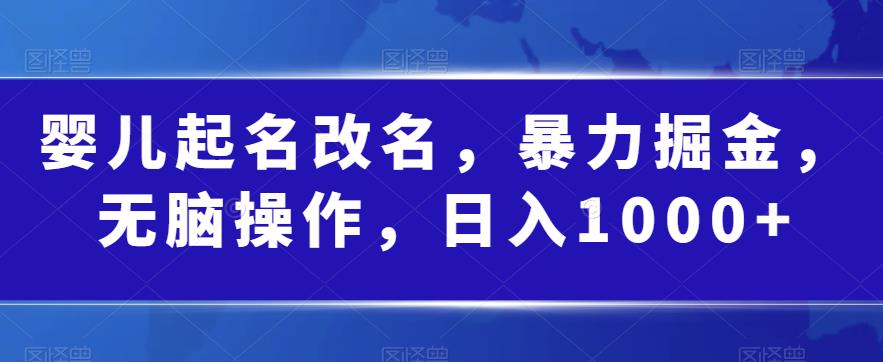 婴儿起名改名，暴力掘金，无脑操作，日入1000+【揭秘】-千羽资源库