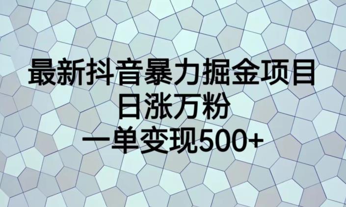 最新抖音暴力掘金项目，日涨万粉，一单变现500+【揭秘】-千羽资源库