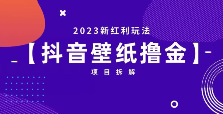 抖音壁纸小程序创作者撸金项目，2023新红利玩法【项目拆解】-千羽资源库