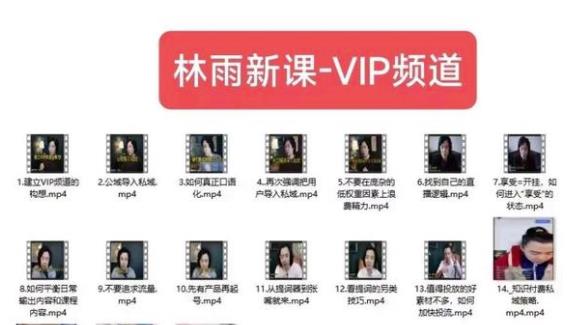 林雨新课VIP频道，玩赚私域/朋友圈/社群-千羽资源库