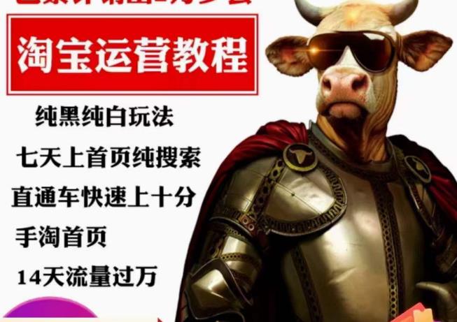 猫老师·淘系算法逆向解密，​纯黑纯白玩法，七天上首页纯搜索，手淘首页14天流量过万-千羽资源库