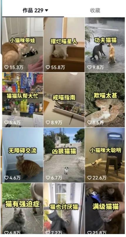 拆解：抖音盘点类中视频变现副业项目，视频版一条龙大解析分享给你-千羽资源库