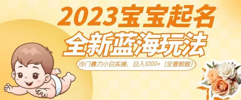2023宝宝起名全新蓝海玩法，冷门暴力小白实操，日入1000+（全套教程）【揭秘】-千羽资源库