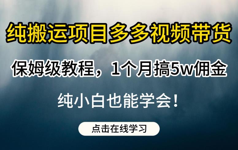 纯搬运项目多多视频带货保姆级教程，1个月搞5w佣金，纯小白也能学会【揭秘】-千羽资源库