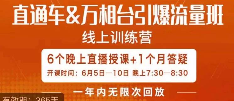 直通车&万相台引爆流量班，6天打通你开直通车·万相台的任督二脉-千羽资源库