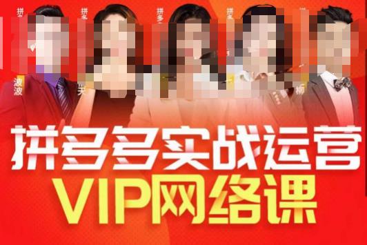 推易拼多多VIP全套直播课程，拼多多店铺实操玩法+实战玩法选款内功+直通车高阶等-千羽资源库