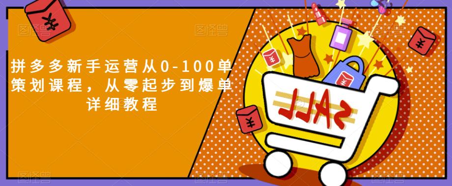 拼多多新手运营从0-100单策划课程，从零起步到爆单详细教程-千羽资源库