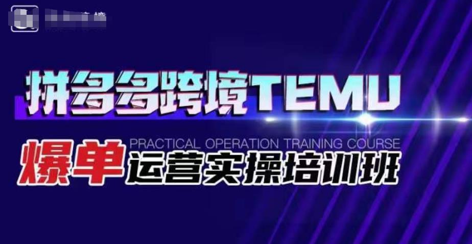 拼多多跨境TEMU爆单运营实操培训班，海外拼多多的选品、运营、爆单-千羽资源库