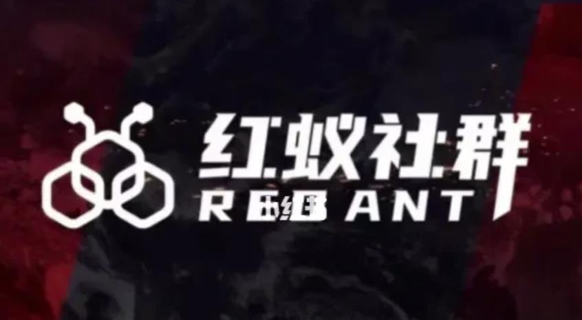 社群运营：红蚁社群【48节落地系统课程+2000人高端社群】-千羽资源库