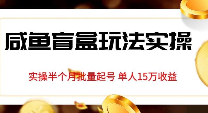 独家首发咸鱼盲盒玩法实操，半个月批量起号单人15万收益【揭秘】-千羽资源库