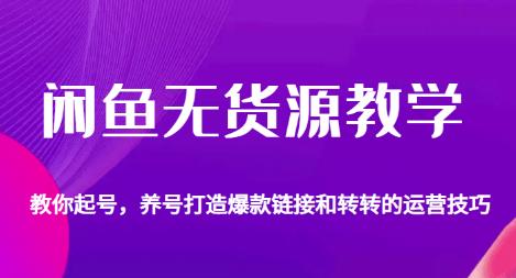闲鱼无货源教学，教你起号，养号打造爆款链接以及转转的运营技巧-千羽资源库