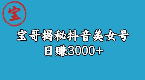 宝哥揭秘抖音美女号玩法，日赚3000+【揭秘】-千羽资源库