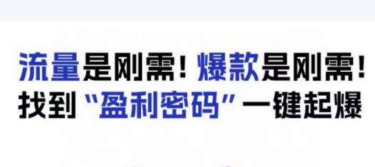 电商盈利精品课：6大盈利密码让产品更好卖，流量是刚需！爆款是刚需！找到”盈利密码”一键起爆-千羽资源库