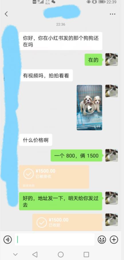 外边收费3980的同城萌宠项目，用最冷门的玩法冲击最热门的市场【揭秘】-千羽资源库