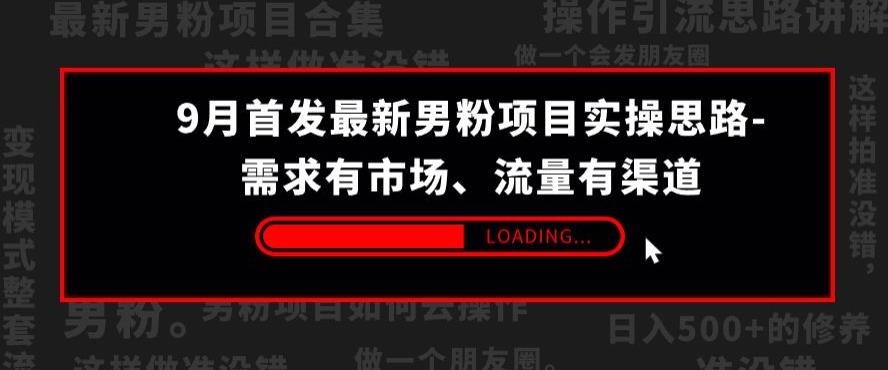 9月首发最新男粉项目实操思路-需求有市场，流量有渠道【揭秘】-千羽资源库