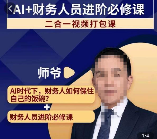 AI+财务人员进阶必修课二合一视频打包课，财务人员进阶必修课-千羽资源库
