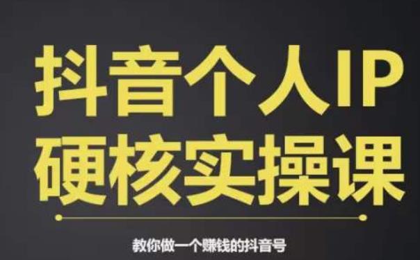个人IP创富系统实战课，商业定位，流量打造，短视频变现，教你做个赚钱的抖音号-千羽资源库