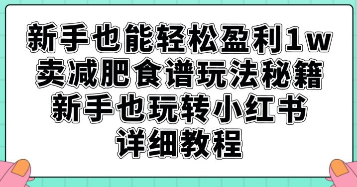 新手也能轻松盈利1w，卖减肥食谱玩法秘籍，新手也玩转小红书详细教程【揭秘】-千羽资源库