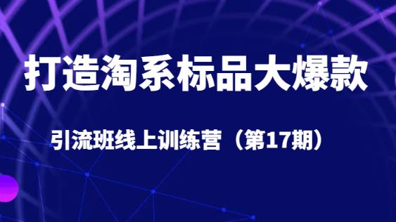 打造淘系标品大爆款引流班线上训练营（第17期）5天直播授课-千羽资源库