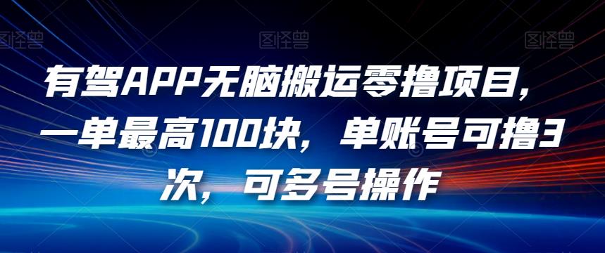 有驾APP无脑搬运零撸项目，一单最高100块，单账号可撸3次，可多号操作【揭秘】-千羽资源库