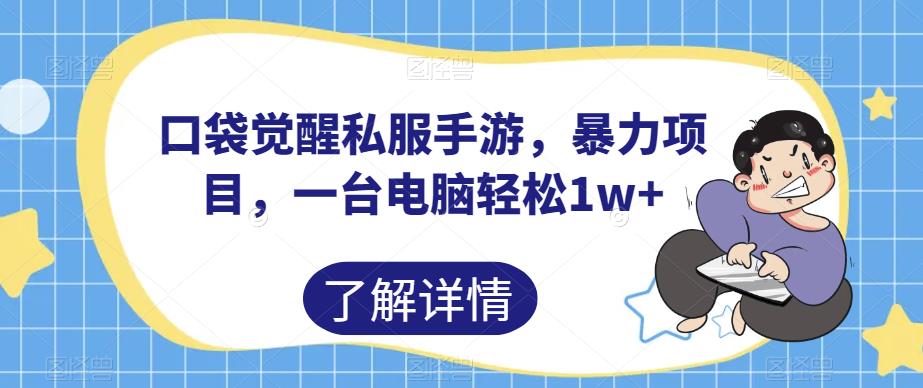 口袋觉醒私服手游，暴力项目，一台电脑轻松1w+【揭秘】-千羽资源库
