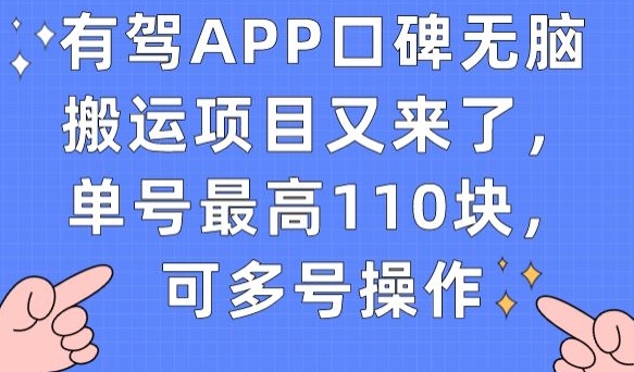 有驾APP口碑无脑搬运项目又来了，单号最高110块，可多号操作-千羽资源库