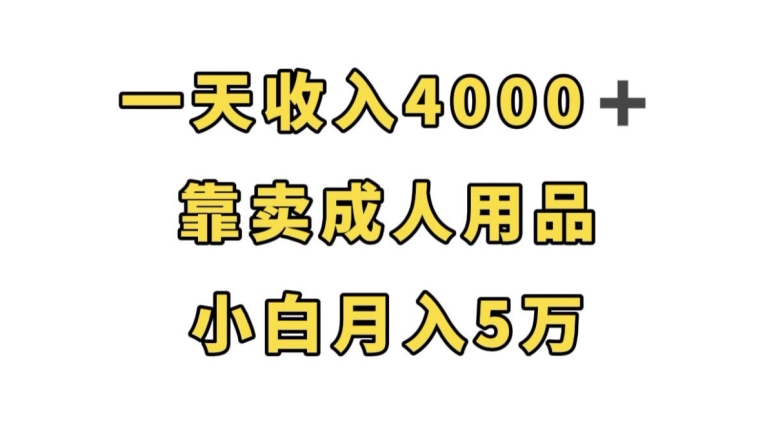 一天收入4000+，靠卖成人用品，小白轻松月入5万【揭秘】-千羽资源库