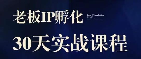 诸葛·2023老板IP实战课，实体同城引流获客，IP孵化必听-千羽资源库