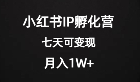 价值2000+的小红书IP孵化营项目，超级大蓝海，七天即可开始变现，稳定月入1W+-千羽资源库