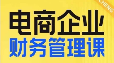 电商企业财务管理线上课，为电商企业规划财税-千羽资源库