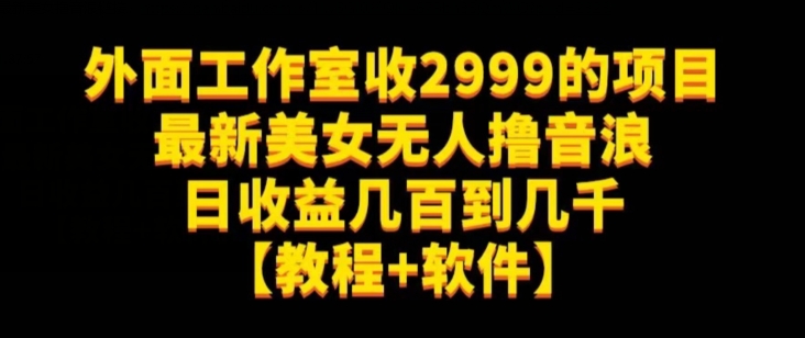 外面工作室收2999的项目最新美女无人撸音浪日收益几百到几千【教程+软件】（仅揭秘）-千羽资源库