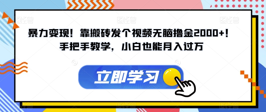 暴力变现！靠搬砖发个视频无脑撸金2000+！手把手教学，小白也能月入过万【揭秘】-千羽资源库