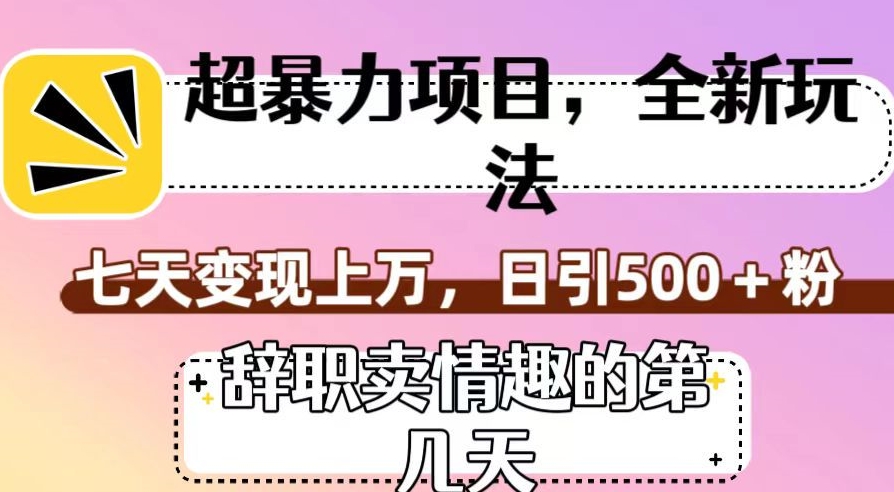 超暴利项目，全新玩法（辞职卖情趣的第几天），七天变现上万，日引500+粉【揭秘】-千羽资源库