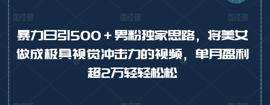 暴力日引500＋男粉独家思路，将美女做成极具视觉冲击力的视频，单月盈利超2万轻轻松松-千羽资源库