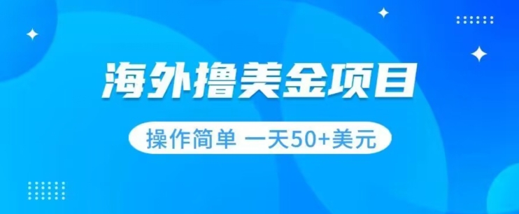 撸美金项目无门槛操作简单小白一天50+美刀-千羽资源库