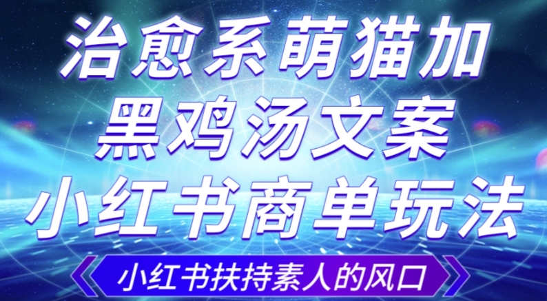 治愈系萌猫加+黑鸡汤文案，小红书商单玩法，3~10天涨到1000粉，一单200左右-千羽资源库