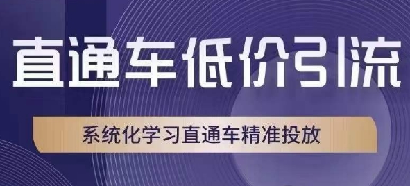 直通车低价引流课，系统化学习直通车精准投放-千羽资源库