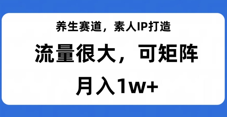 养生赛道，素人IP打造，流量很大，可矩阵，月入1w+【揭秘】-千羽资源库
