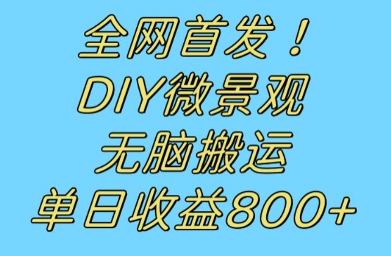 全网首发冷门赛道！DIY微景观，无脑搬运视频，日收益800+【揭秘】-千羽资源库