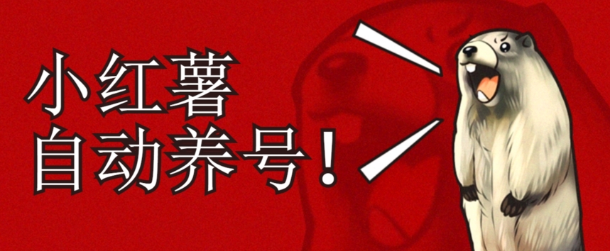 小红书养号秘籍，如何自动涨粉清晰系统标签打造高权重账号【揭秘】-千羽资源库
