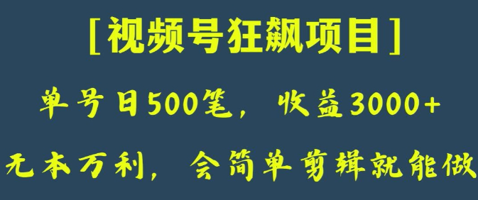 日收款500笔，纯利润3000+，视频号狂飙项目，会简单剪辑就能做【揭秘】-千羽资源库
